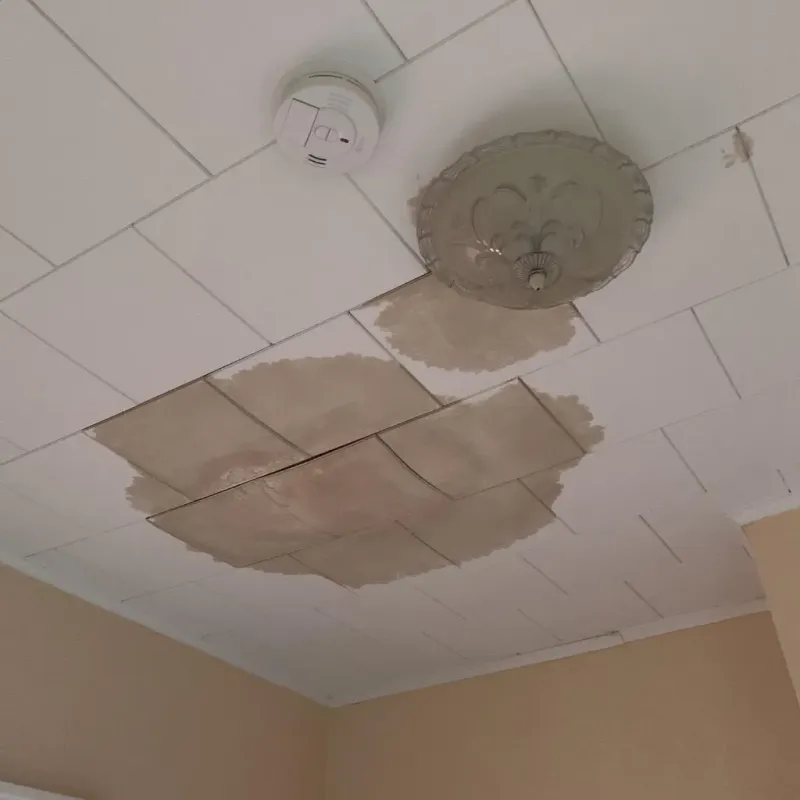 Ceiling Water Damage Repair in McGill, NV