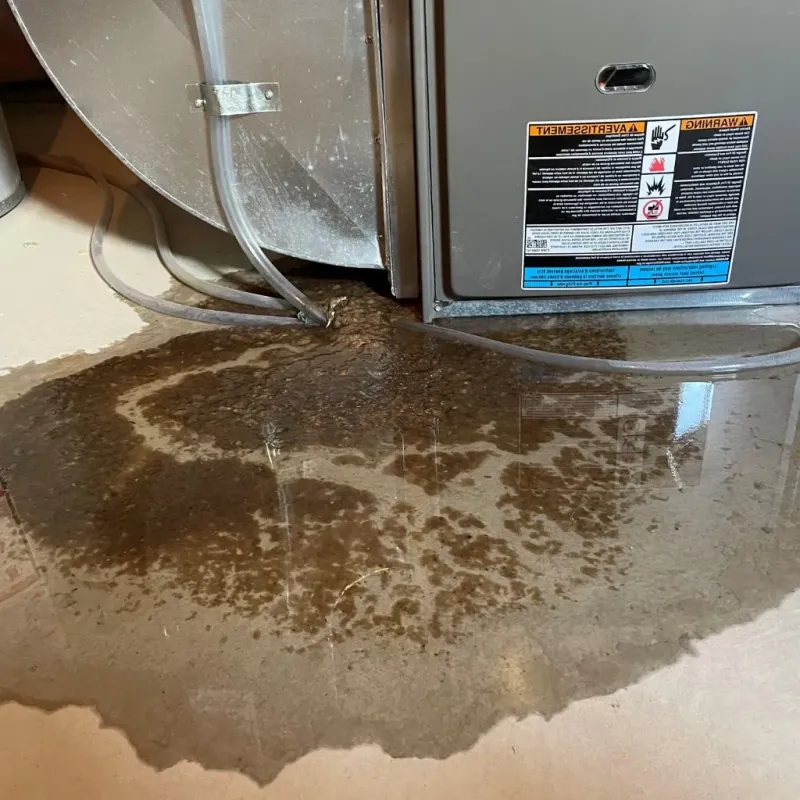 Pipe Burst and Leak Restoration in McGill, NV